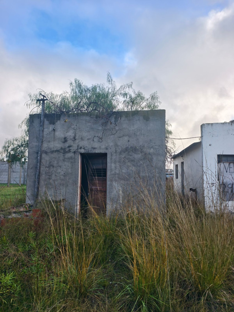 Terreno en Alquiler en Calle 16,  Pedro Luro - Bahía Blanca Propiedades | SITIO OFICIAL l