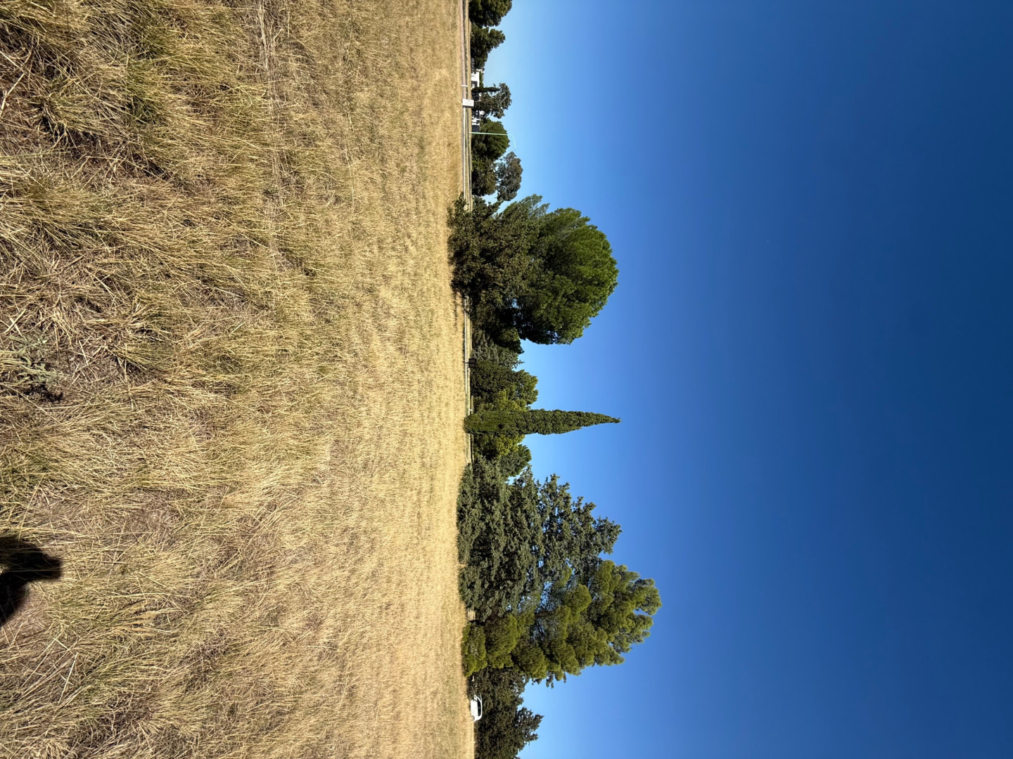 Terreno en Venta  Los Mirasoles, Bahía Blanca - Bahía Blanca Propiedades | SITIO OFICIAL l