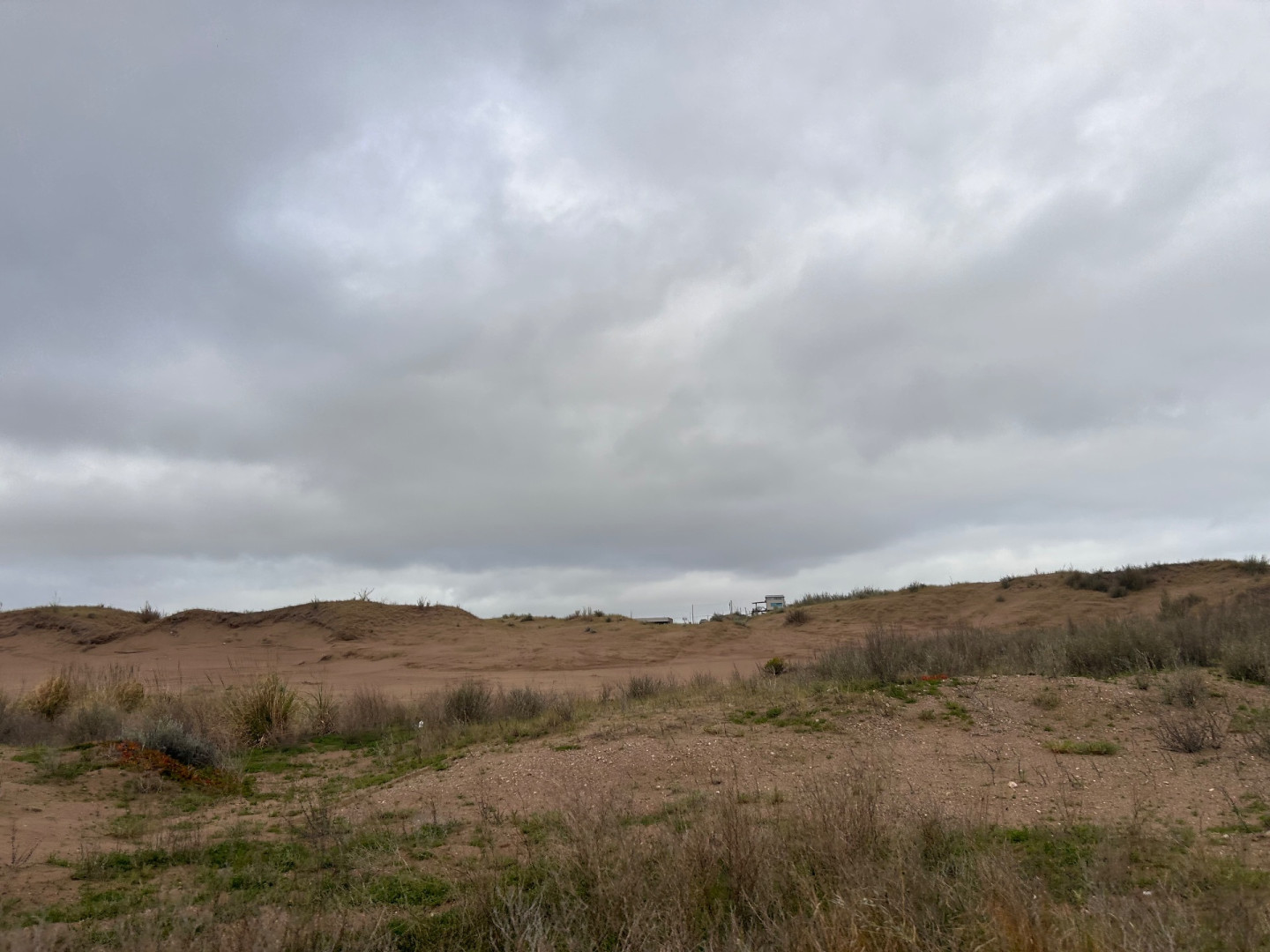 Terreno en Venta en Puleston Entre Magdalena Y San Boronbom, El Sauce, Monte Hermoso - Bahía Blanca Propiedades | SITIO OFICIAL l