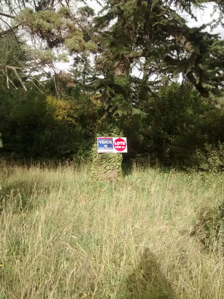 Terreno en Venta en Manzana Los Ceibos,  Sierra de  la Ventana - Bahía Blanca Propiedades | SITIO OFICIAL l