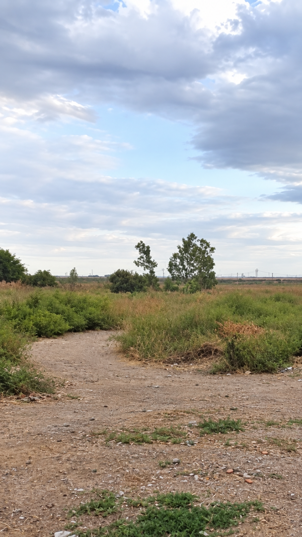 Terreno en Venta en Moseñor De Andrea Al 1000 Y Balboa,  Bahía Blanca - Bahía Blanca Propiedades | SITIO OFICIAL l