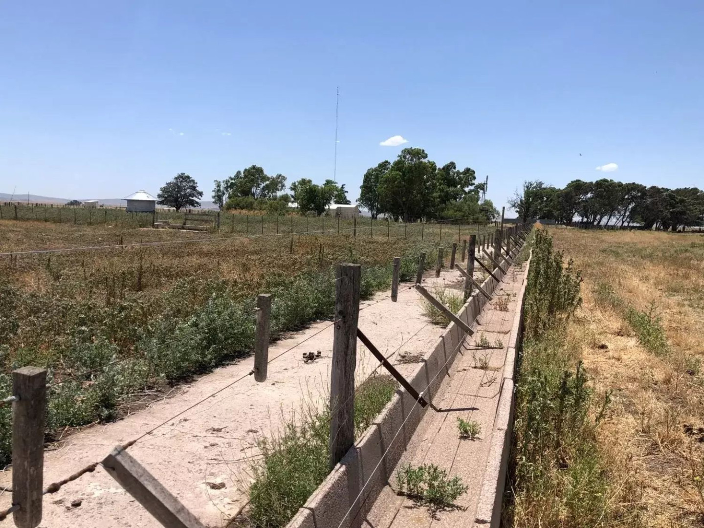 Campo  en Venta en Coronel Pringles,  Coronel Pringles - Bahía Blanca Propiedades | SITIO OFICIAL l