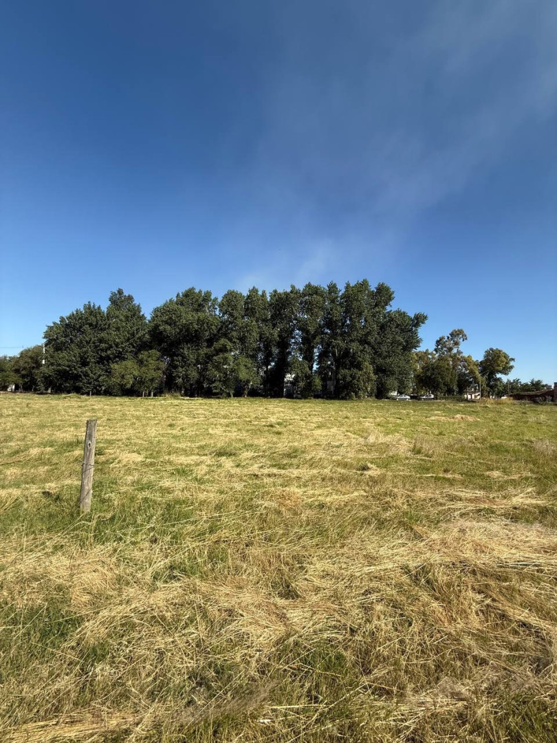 Terreno en Venta en Avenida Arias 1600, Rosario Vera Peñaloza , Bahía Blanca - Bahía Blanca Propiedades | SITIO OFICIAL l