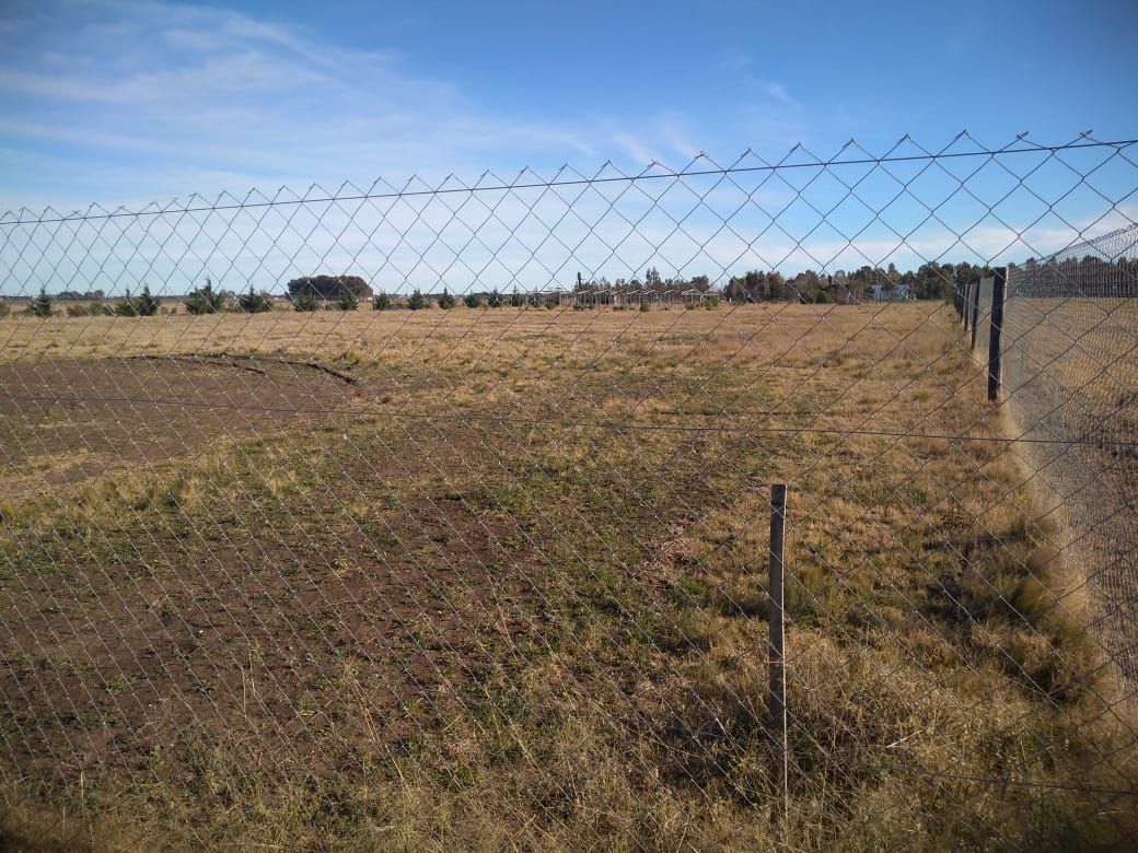 Terreno en Venta en Ruta 3 Km 594,  Coronel Dorrego - Bahía Blanca Propiedades | SITIO OFICIAL l