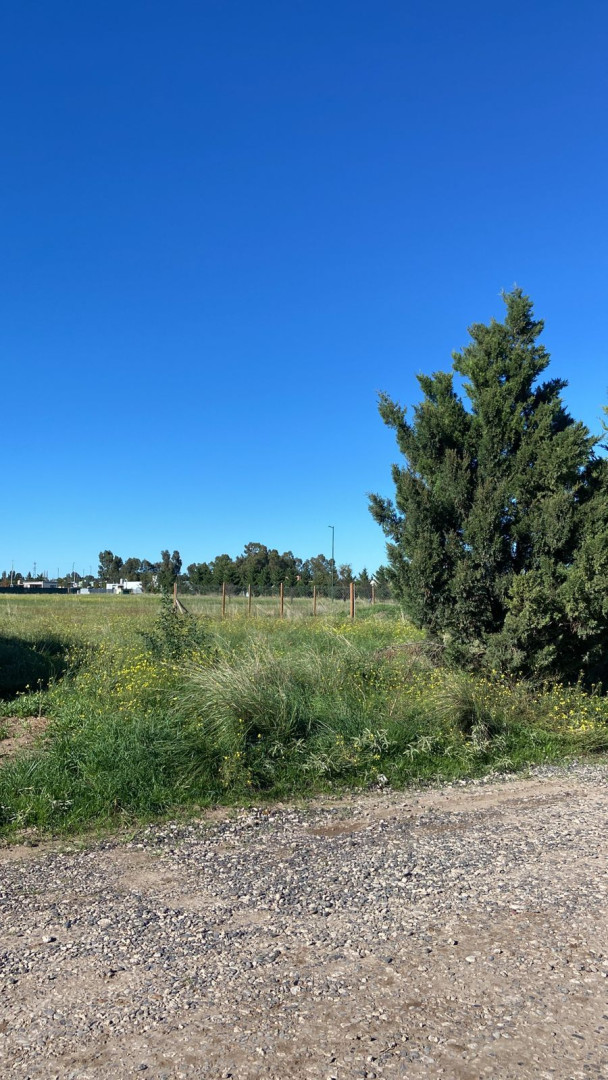Terreno en Venta en Azara 5300 Entre Hemmigsen Y J. Jiménez, Las Acacias, Bahía Blanca - Bahía Blanca Propiedades | SITIO OFICIAL l