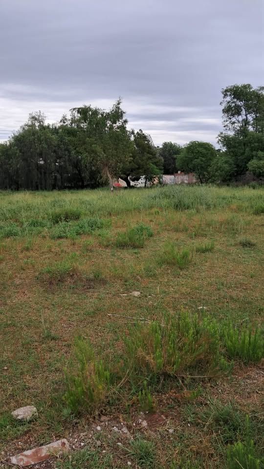 Terreno en Venta en Baigorria Y Los Sauces, San Miguel, Bahía Blanca - Bahía Blanca Propiedades | SITIO OFICIAL l
