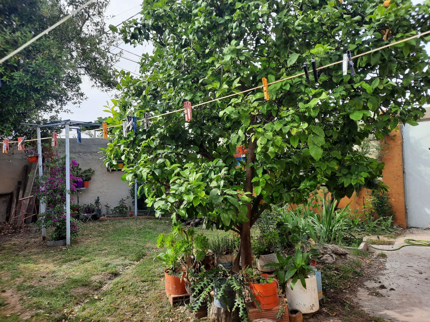 Casa en Venta en SANTA CRUZ AL 1000, Pampa Central, Bahía Blanca - Bahía Blanca Propiedades | SITIO OFICIAL l