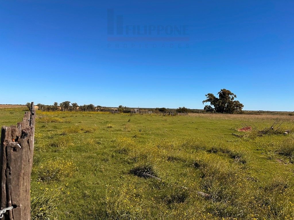 Campo  en Venta en Ruta 35 - Bahía Blanca Propiedades | SITIO OFICIAL l