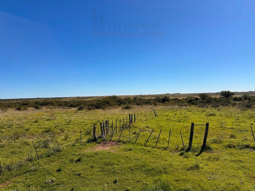 Campo  en Venta en Ruta 35 - Bahía Blanca Propiedades | SITIO OFICIAL l