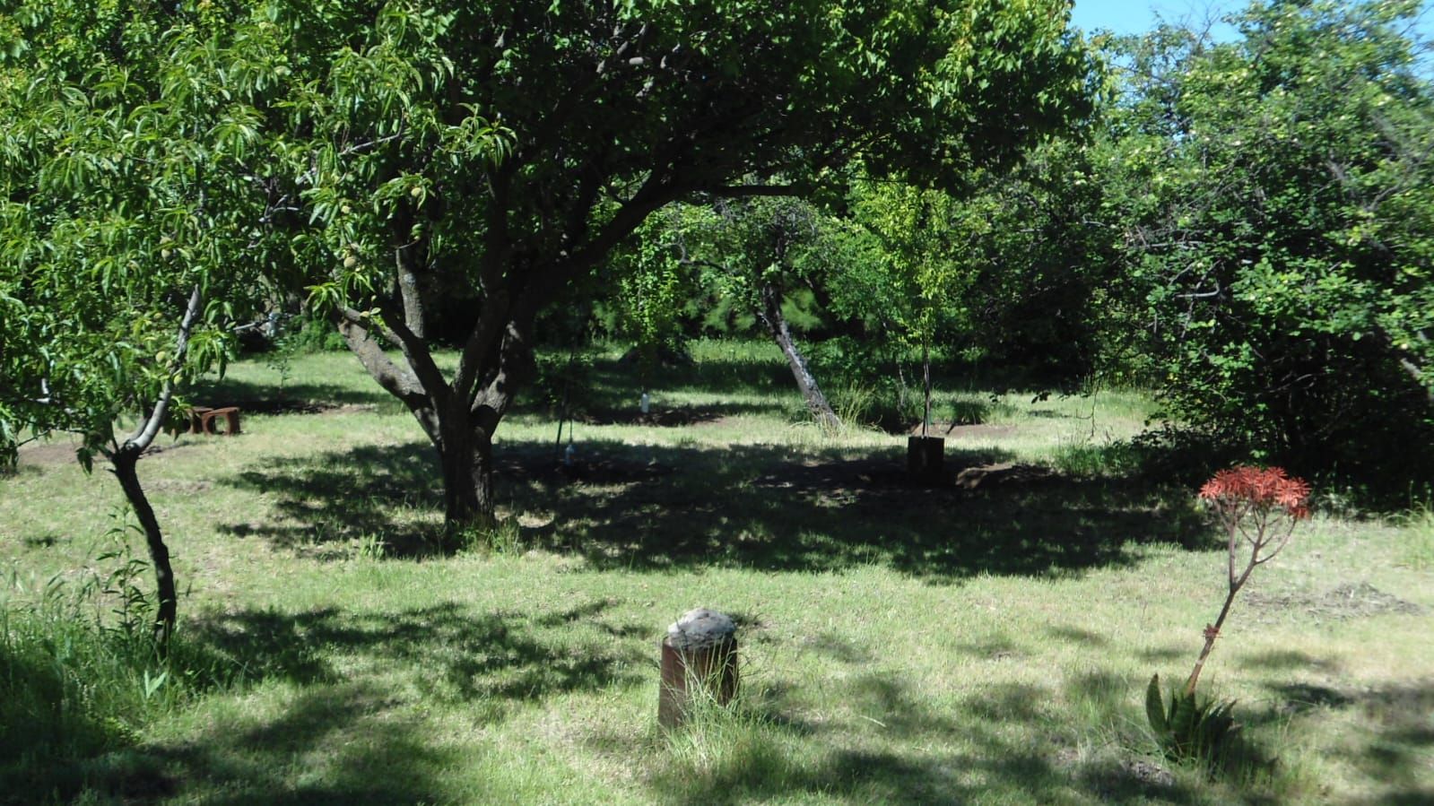 Campo  en Venta en Rn22,  Villarino - Bahía Blanca Propiedades | SITIO OFICIAL l