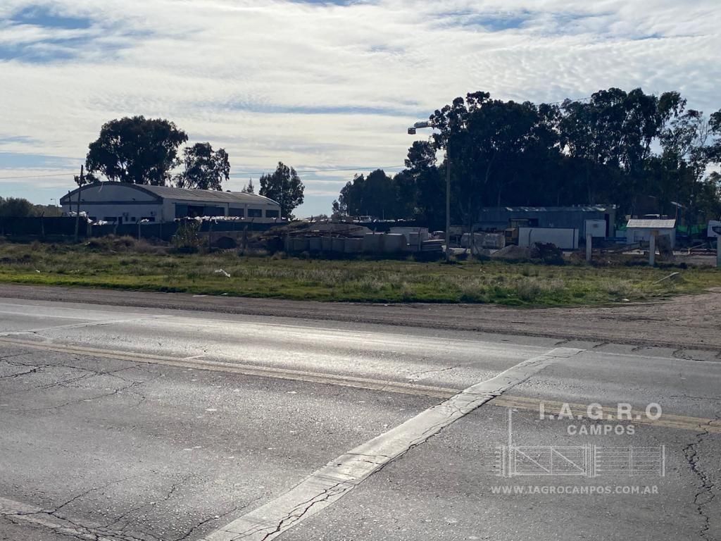 Galpón en Venta en Charlone Y Ruta 3,  Bahía Blanca - Bahía Blanca Propiedades | SITIO OFICIAL l
