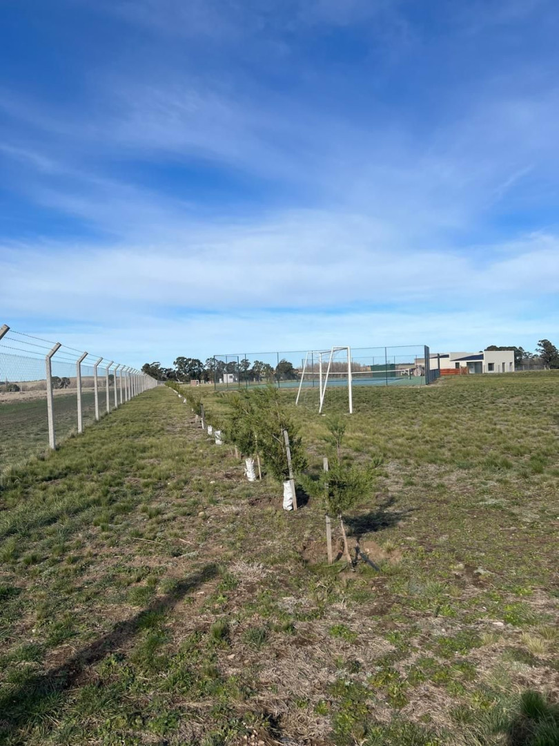 Terreno en Venta en Las Verbenas, Las Verbenas , Sierra de  la Ventana - Bahía Blanca Propiedades | SITIO OFICIAL l