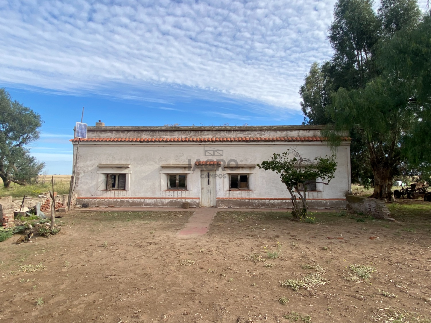 Campo  en Venta en Puan,  Puan - Bahía Blanca Propiedades | SITIO OFICIAL l