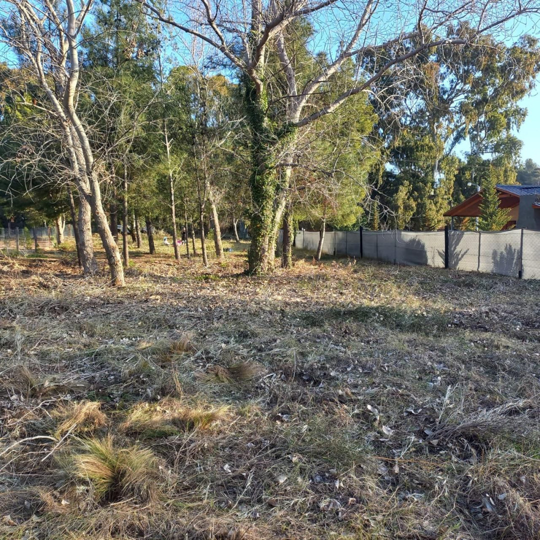 Terreno en Venta en Calle 8 Entre 9 Y 11, Pehuen Co,  Pehuen Co - Bahía Blanca Propiedades | SITIO OFICIAL l