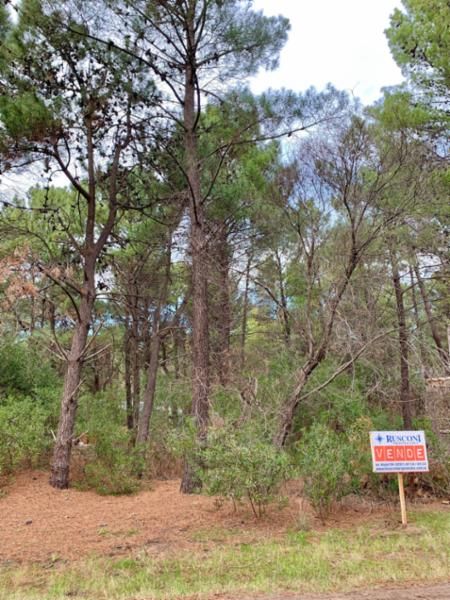 Terreno en Venta en Bosque Alegre Entre Los Zorzales Y El Gavilán, Pinar del Golf, Monte Hermoso - Bahía Blanca Propiedades | SITIO OFICIAL l