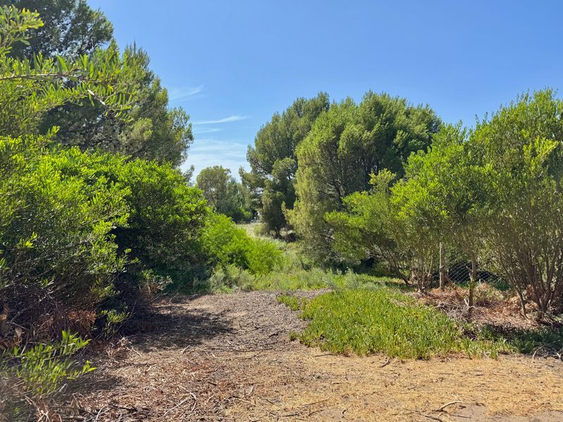 Terreno en Venta en La Florida, El Sauce, Monte Hermoso - Bahía Blanca Propiedades | SITIO OFICIAL l