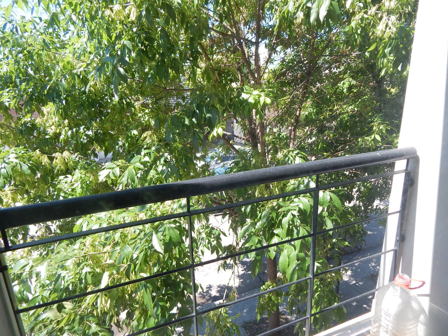 Departamento en Alquiler en Casanova 662, Universitario, Bahía Blanca - Bahía Blanca Propiedades | SITIO OFICIAL l