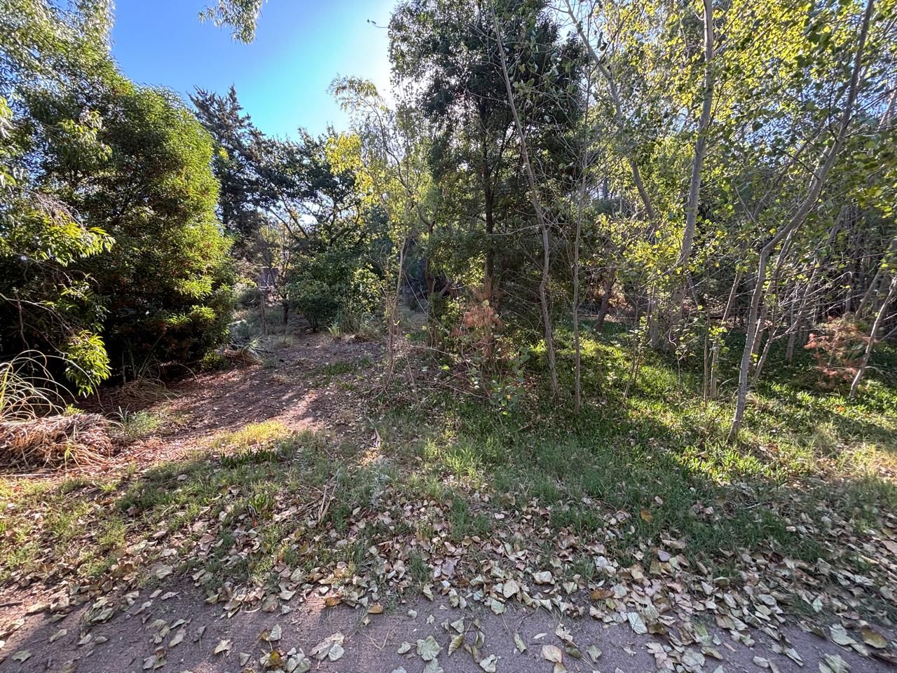 Terreno en Venta en Edurado Plache Y Miramar, El Sauce, Monte Hermoso - Bahía Blanca Propiedades | SITIO OFICIAL l
