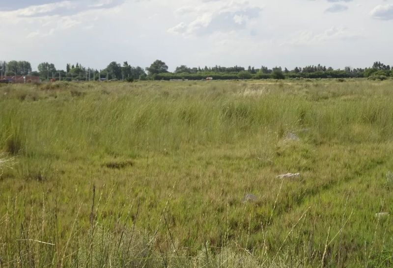 Terreno en Venta en Migueletes 500,  General Cerri - Bahía Blanca Propiedades | SITIO OFICIAL l