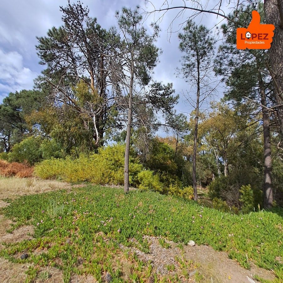 Terreno en Venta en Calle Laurel, Las Lomas, Monte Hermoso - Bahía Blanca Propiedades | SITIO OFICIAL l