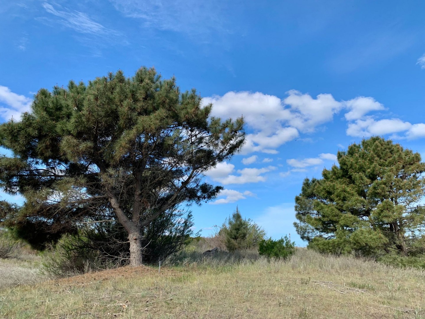 Terreno en Venta en Los Zorzales Y Flamencos, Monte del Este, Monte Hermoso - Bahía Blanca Propiedades | SITIO OFICIAL l