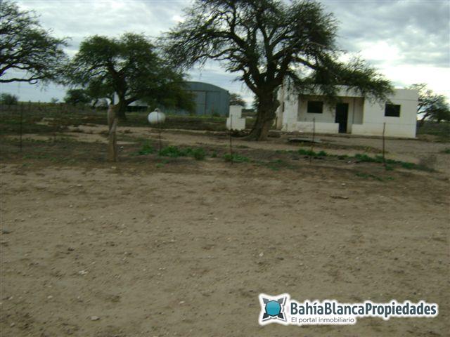 Campo  en Venta en ALGARROBO,  Villarino - Bahía Blanca Propiedades | SITIO OFICIAL l