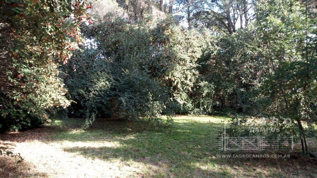 Casa en Venta en Curamalal Y Paloma,  Villa Ventana - Bahía Blanca Propiedades | SITIO OFICIAL l