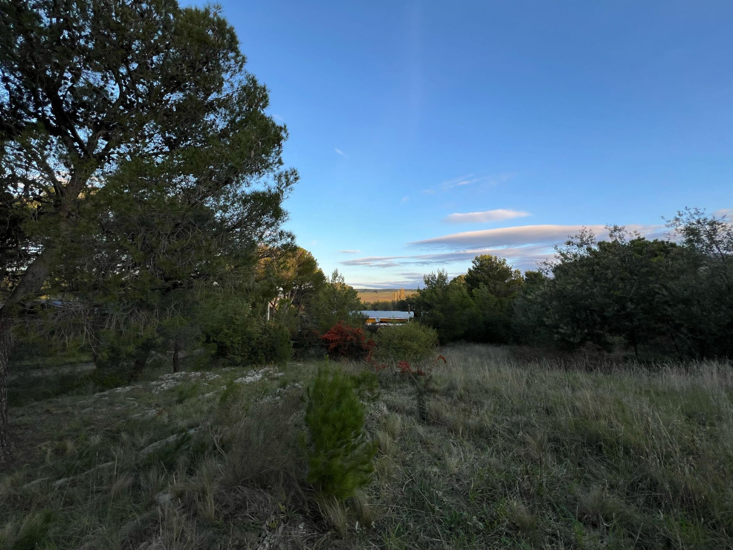 Terreno en Venta en Cabecita Negra,  Villa Ventana - Bahía Blanca Propiedades | SITIO OFICIAL l
