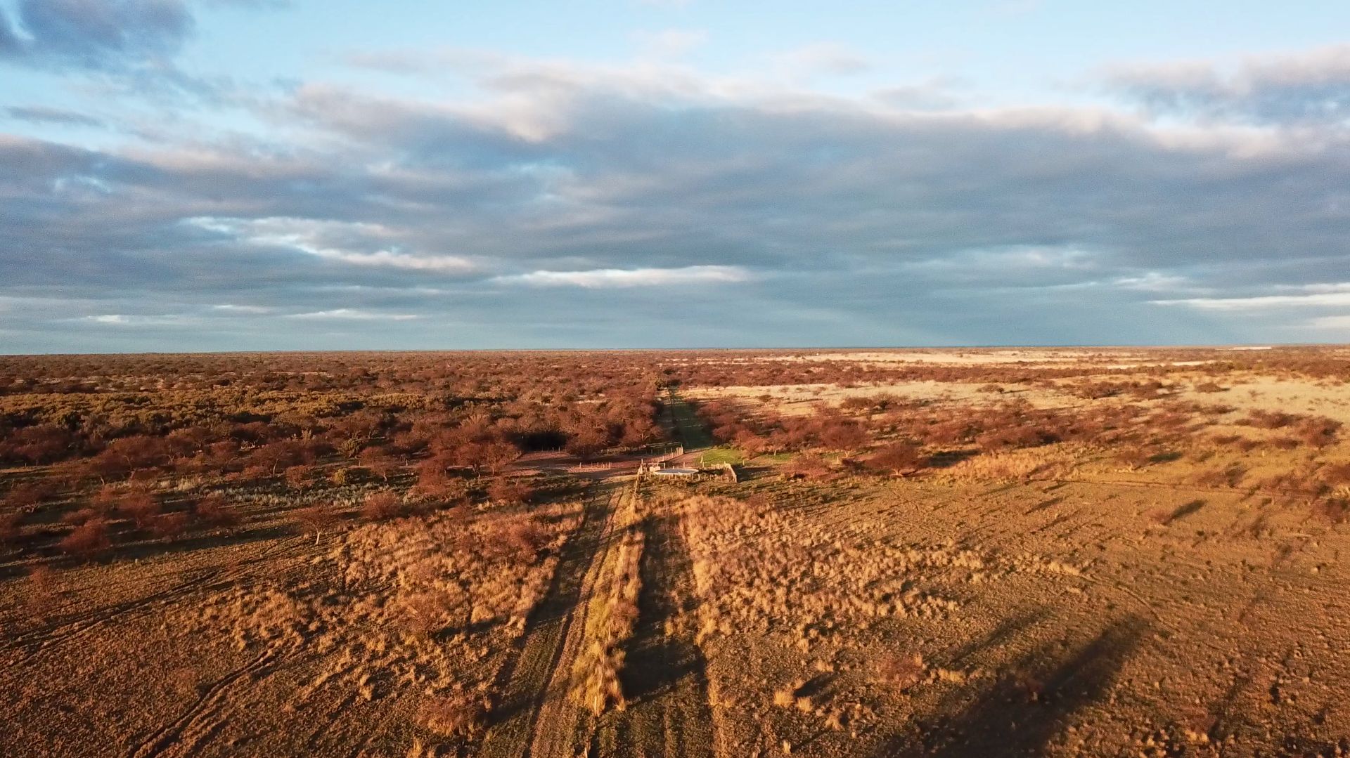 Campo  en Venta   Bernasconi - Bahía Blanca Propiedades | SITIO OFICIAL l