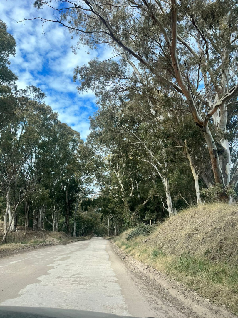 Terreno en Venta en TUCUMAN ESQUINA LA RIOJA,  Coronel Dorrego - Bahía Blanca Propiedades | SITIO OFICIAL l