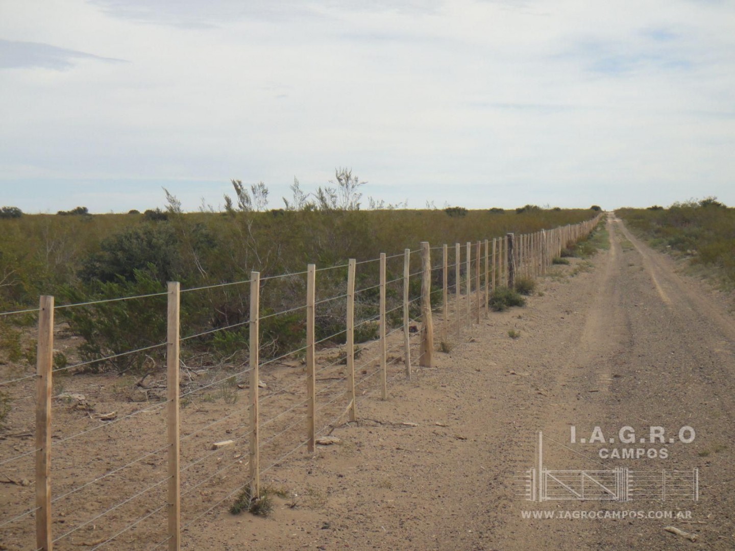 Campo  en Venta en Curaco,  Curaco - La Pampa - Bahía Blanca Propiedades | SITIO OFICIAL l