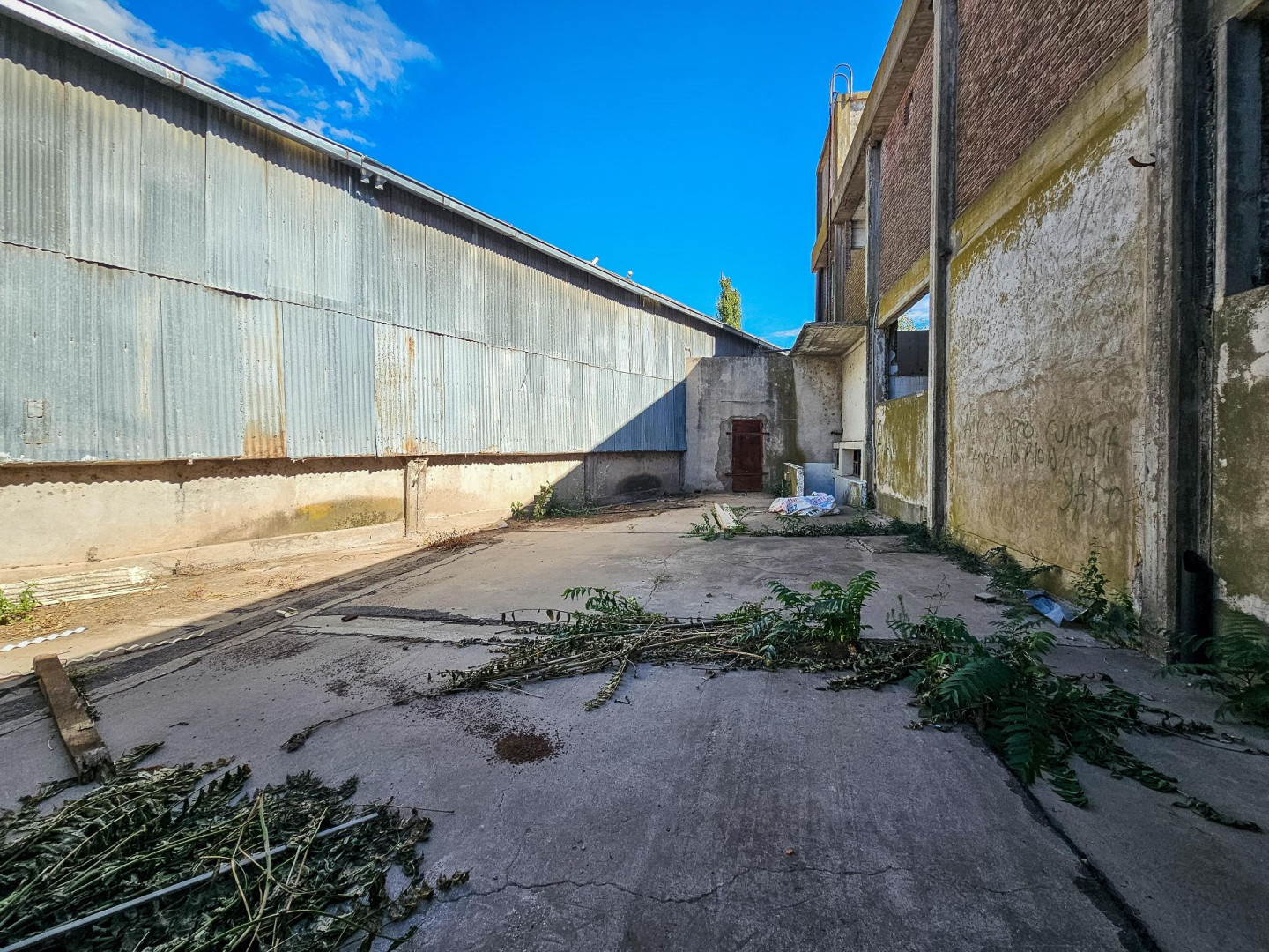 Galpón en Venta en Pampa Central 1500, Pampa Central, Bahía Blanca - Bahía Blanca Propiedades | SITIO OFICIAL l
