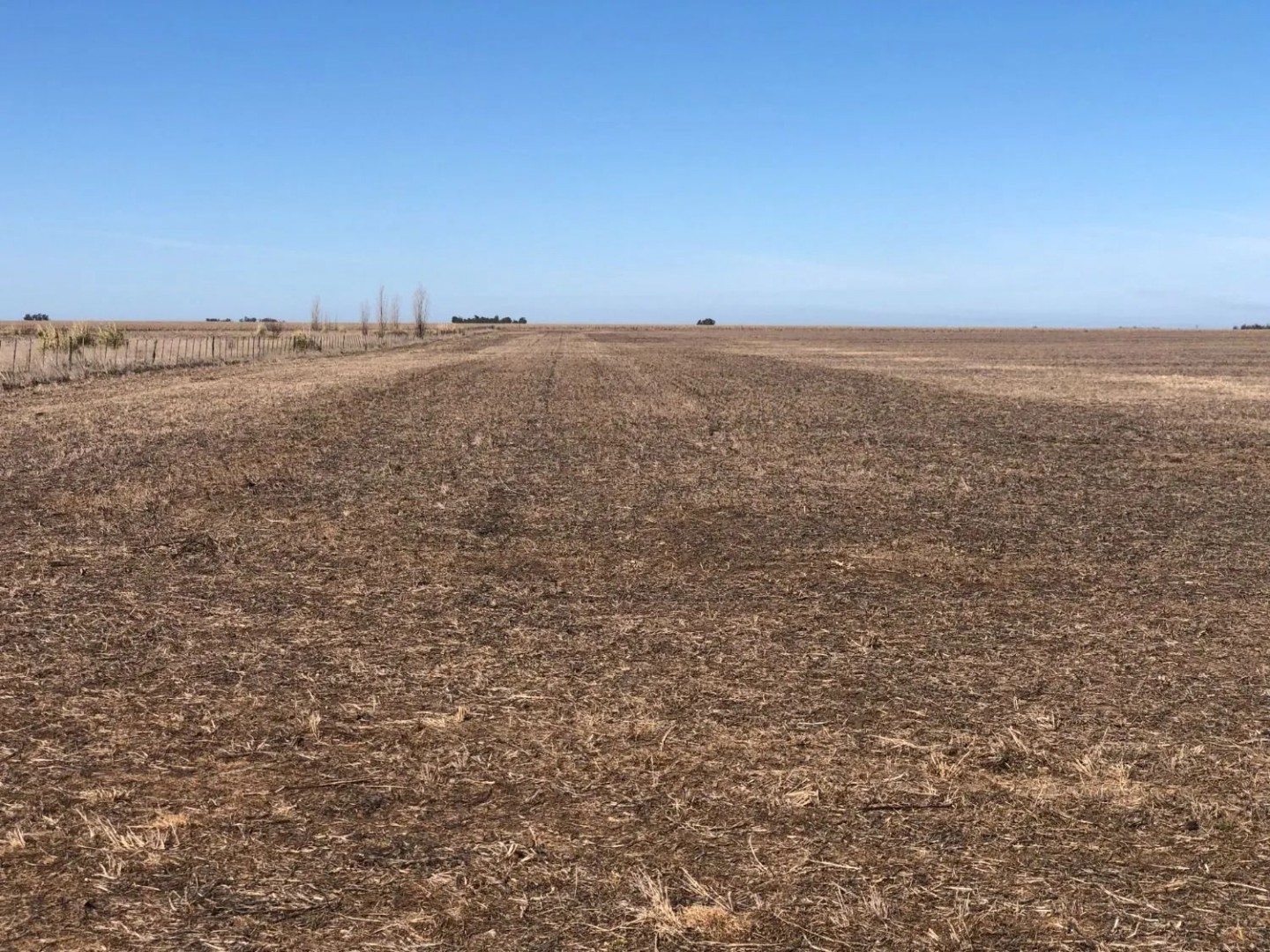 Campo  en Venta en Tres Arroyos,  Tres Arroyos - Bahía Blanca Propiedades | SITIO OFICIAL l
