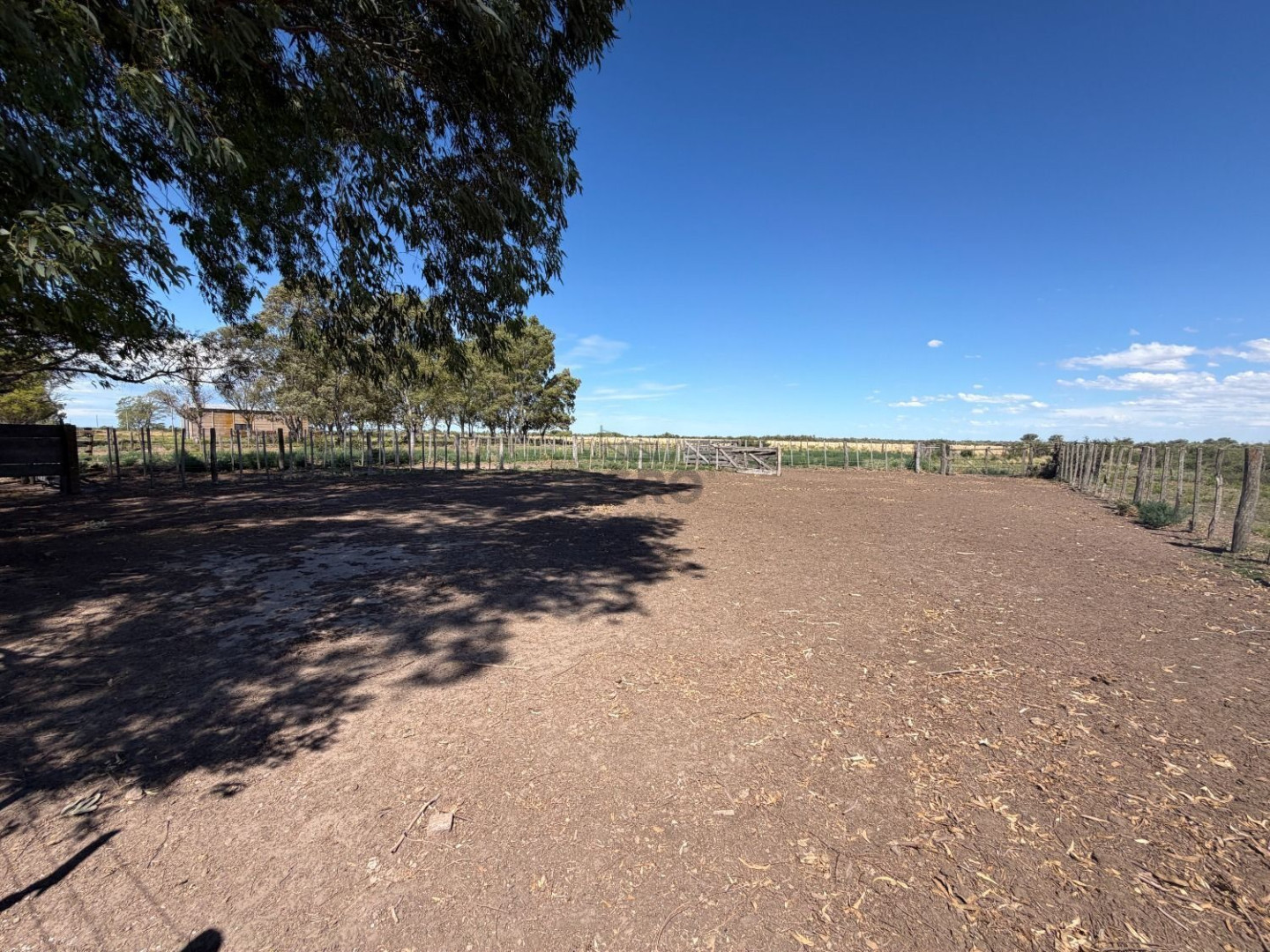 Campo  en Venta en Partido De Patagones,  Juan A. Pradere - Bahía Blanca Propiedades | SITIO OFICIAL l