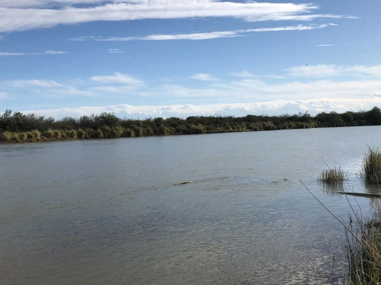 Campo  en Venta en Ruta Provincial 34,  Lihuel Calel - La Pampa - Bahía Blanca Propiedades | SITIO OFICIAL l