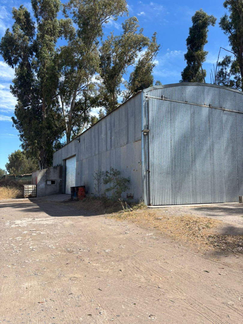Galpón en Alquiler en Charlone Y Ruta 3 ,  Bahía Blanca - Bahía Blanca Propiedades | SITIO OFICIAL l