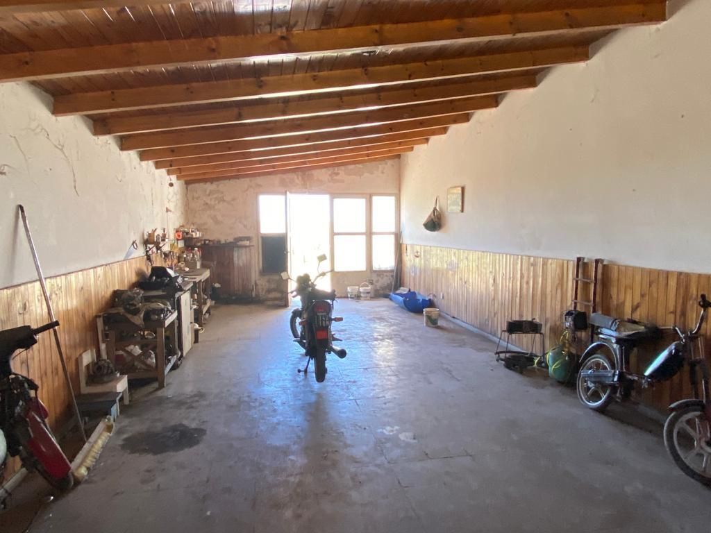 Galpón en Venta en Ruta 3,  Bahía Blanca - Bahía Blanca Propiedades | SITIO OFICIAL l