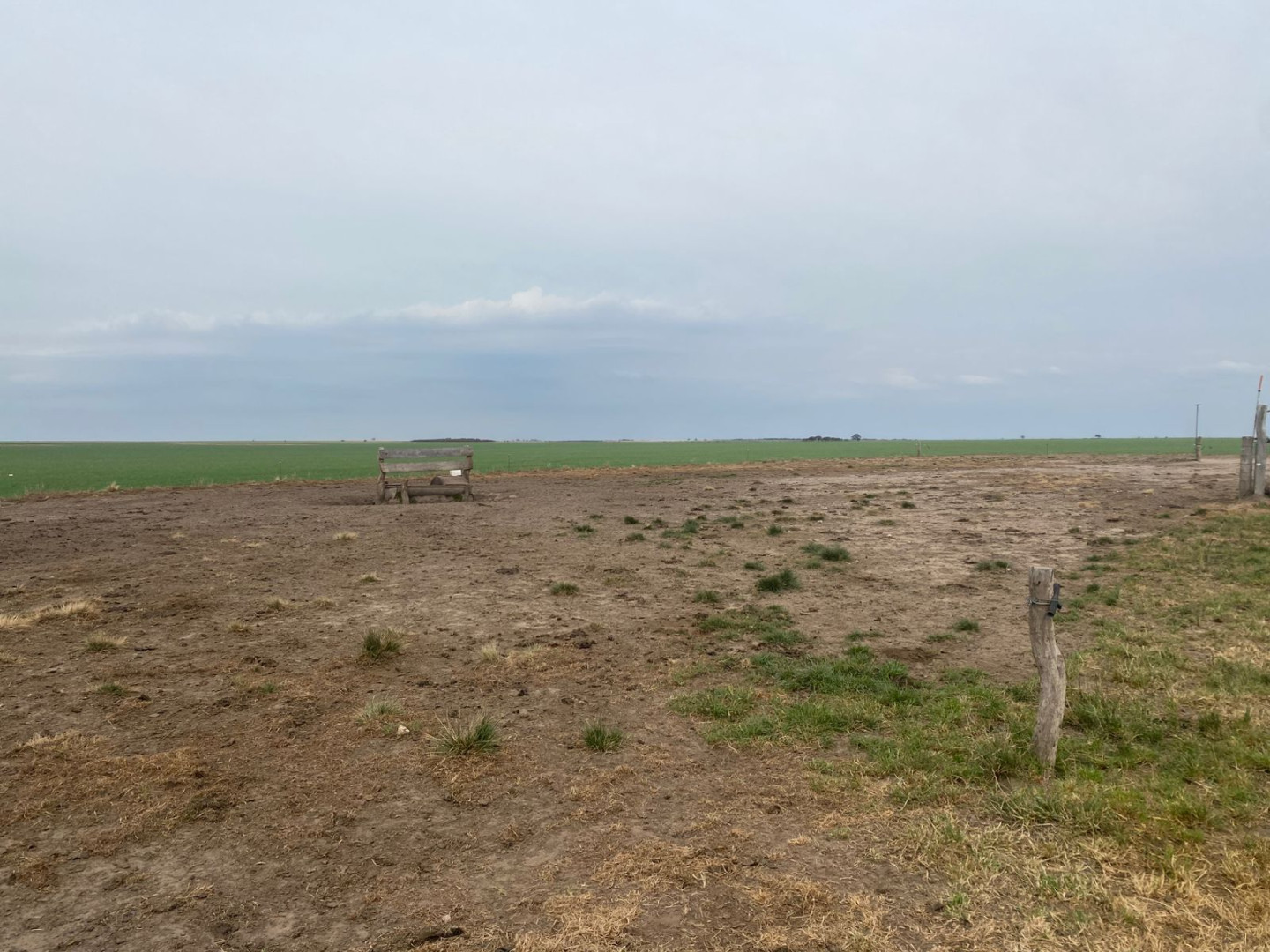 Campo  en Venta   Villarino - Bahía Blanca Propiedades | SITIO OFICIAL l