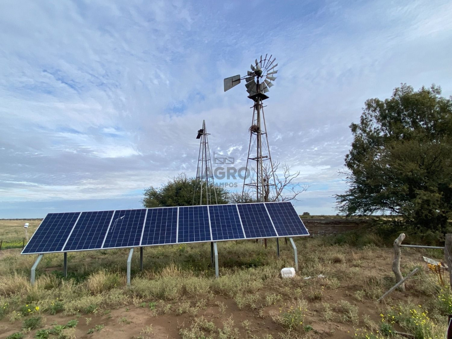 Campo  en Venta en Puan,  Puan - Bahía Blanca Propiedades | SITIO OFICIAL l