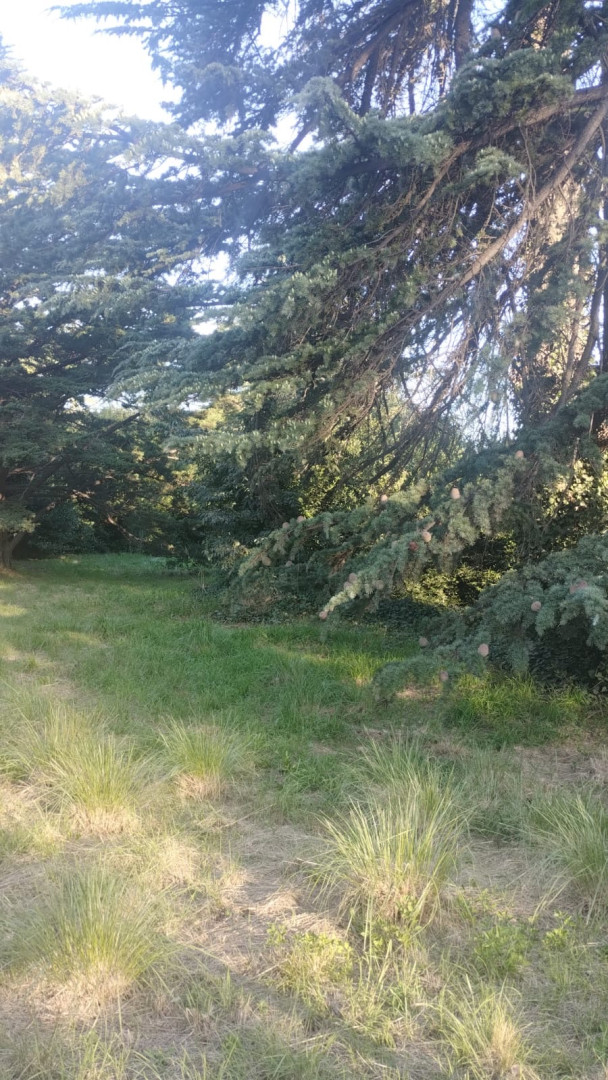 Terreno en Venta  Parque Golf, Sierra de  la Ventana - Bahía Blanca Propiedades | SITIO OFICIAL l