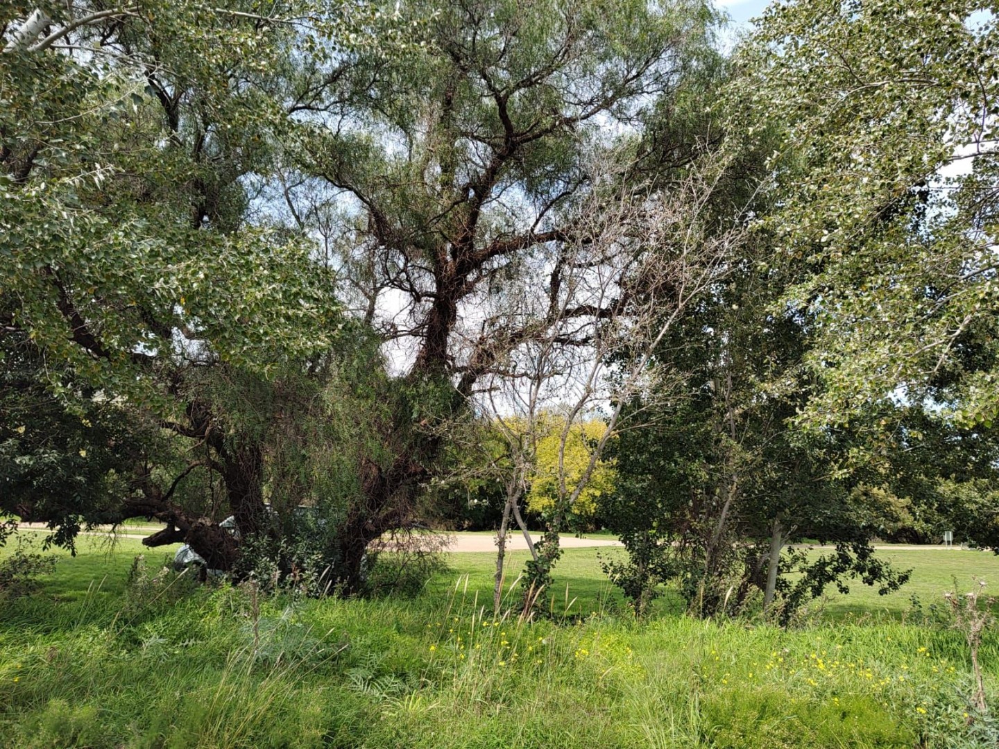 Terreno en Venta en Curamalal Y Churrinche,  Villa Ventana - Bahía Blanca Propiedades | SITIO OFICIAL l