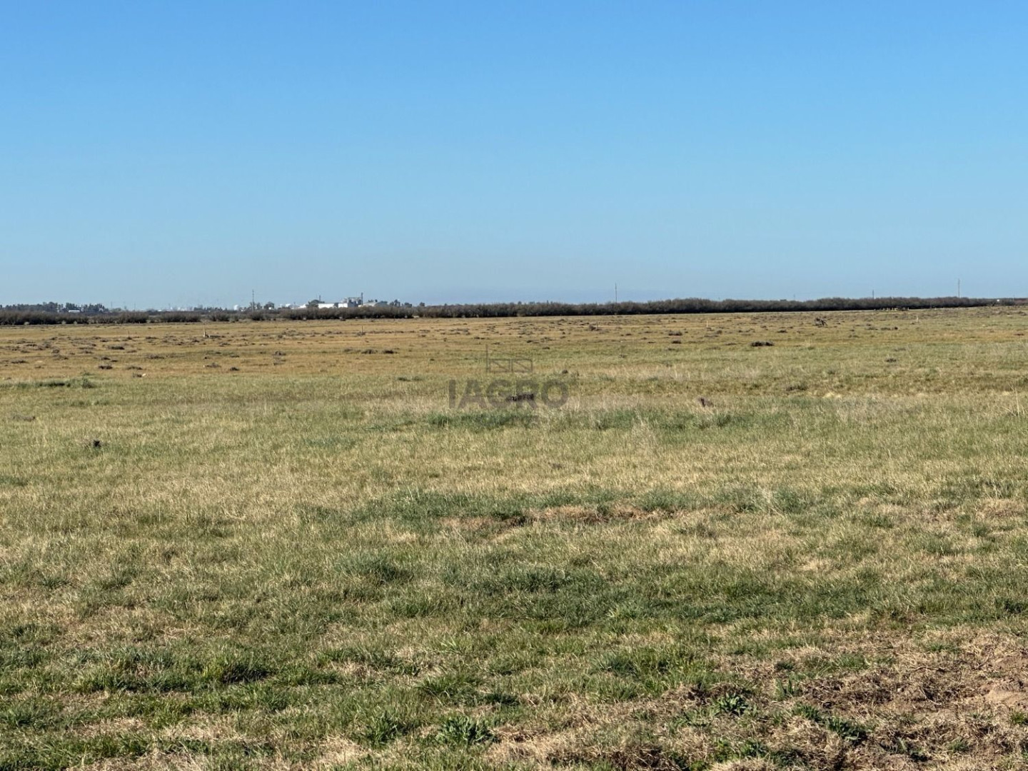 Campo  en Venta en Bahia Blanca,  Bahía Blanca - Bahía Blanca Propiedades | SITIO OFICIAL l