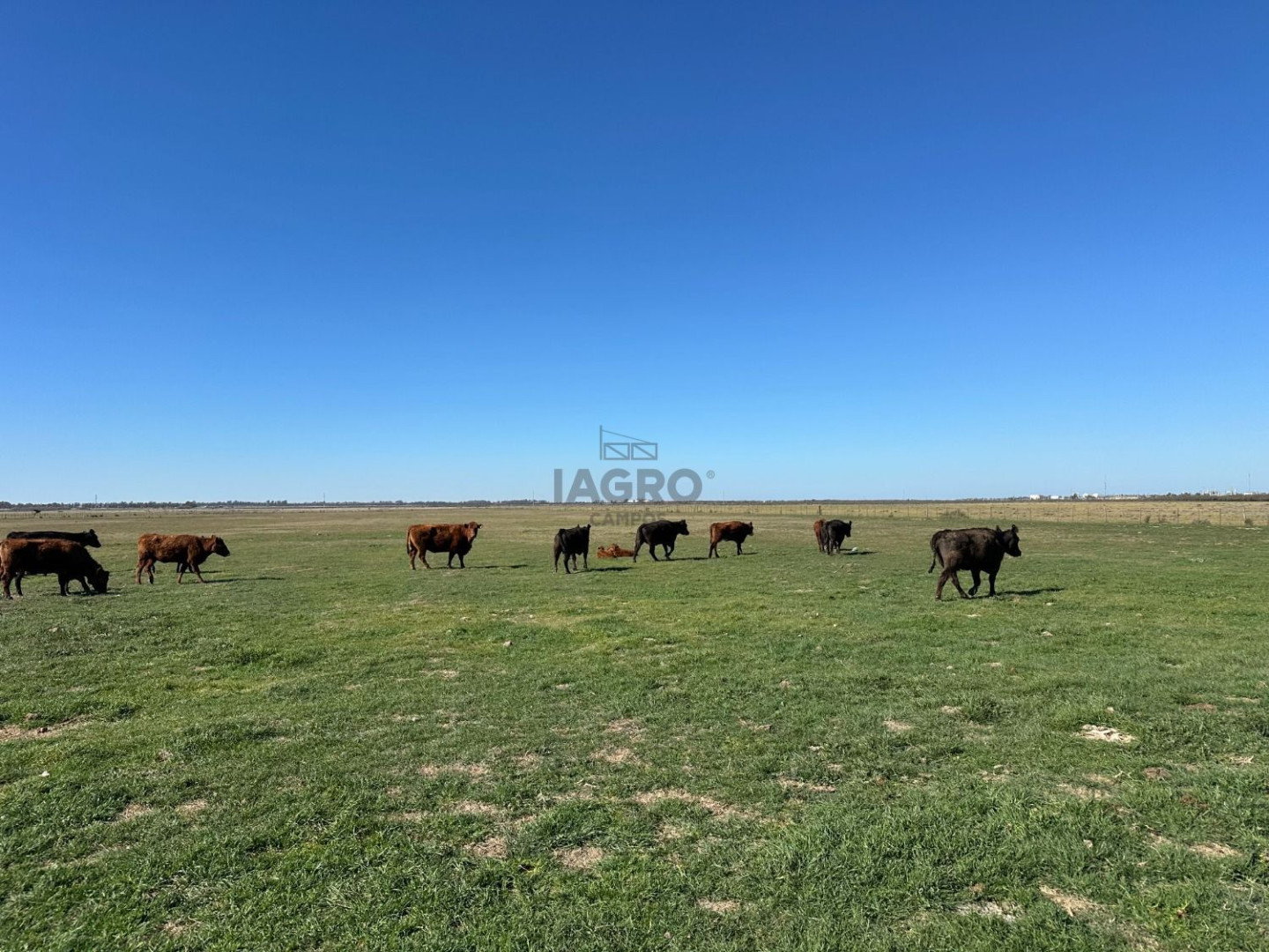 Campo  en Venta en Bahia Blanca,  Bahía Blanca - Bahía Blanca Propiedades | SITIO OFICIAL l