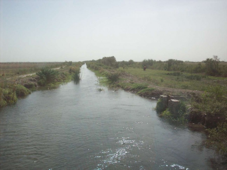 Campo  en Venta en Carmen De Patagones,  Carmen de Patagones - Bahía Blanca Propiedades | SITIO OFICIAL l