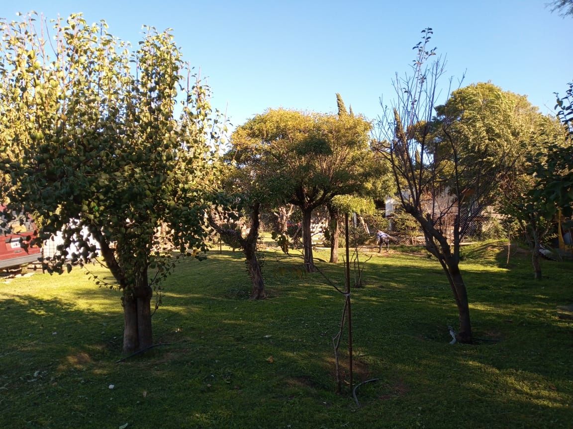 Terreno en Venta  Villa Bordeu, Bahía Blanca - Bahía Blanca Propiedades | SITIO OFICIAL l
