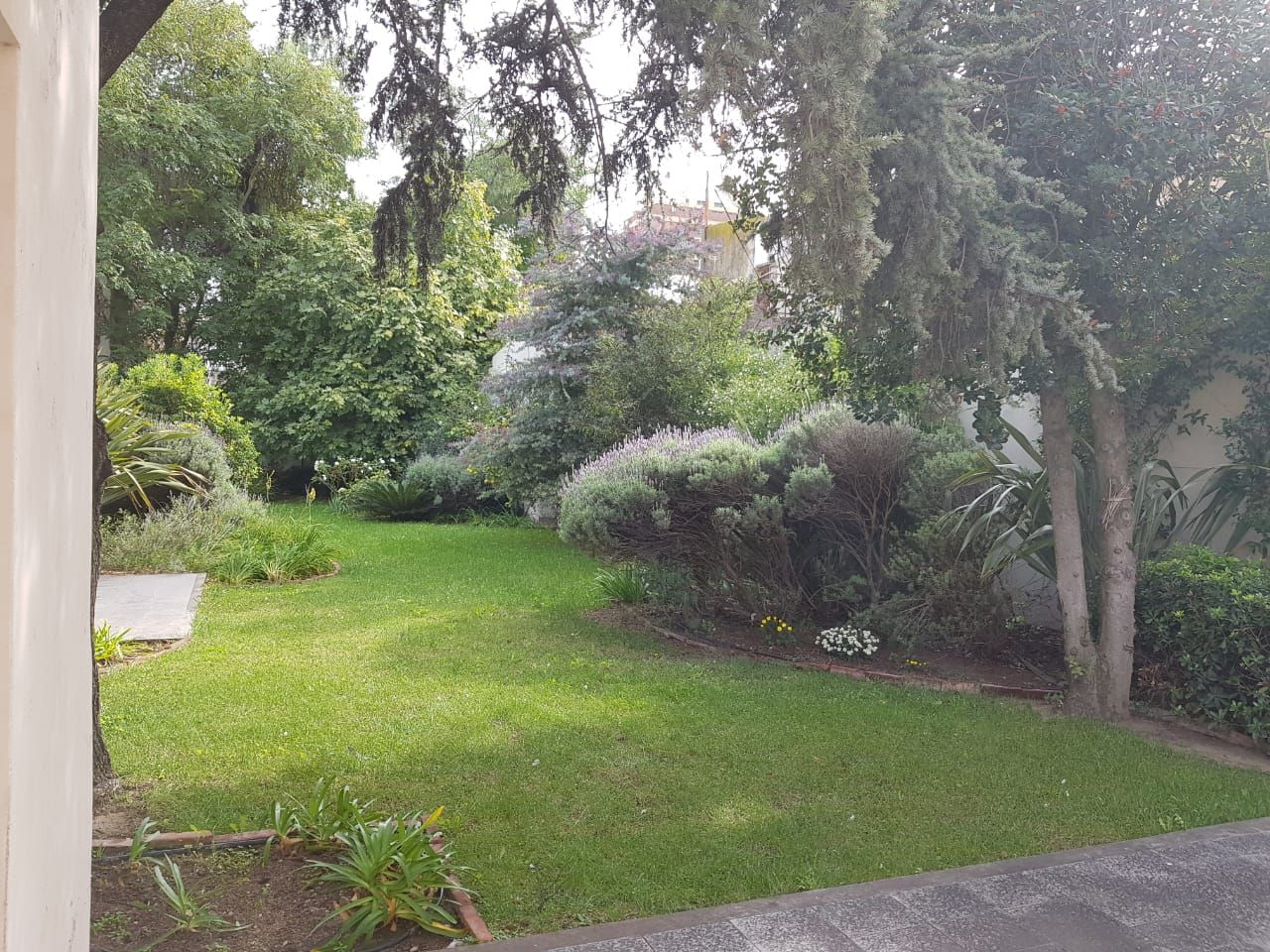 Casa en Venta en Villarino 100, Centro, Bahía Blanca - Bahía Blanca Propiedades | SITIO OFICIAL l