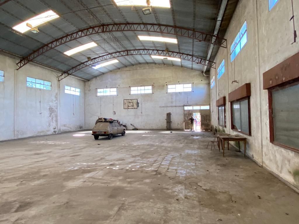 Galpón en Venta en Ruta 3,  Bahía Blanca - Bahía Blanca Propiedades | SITIO OFICIAL l