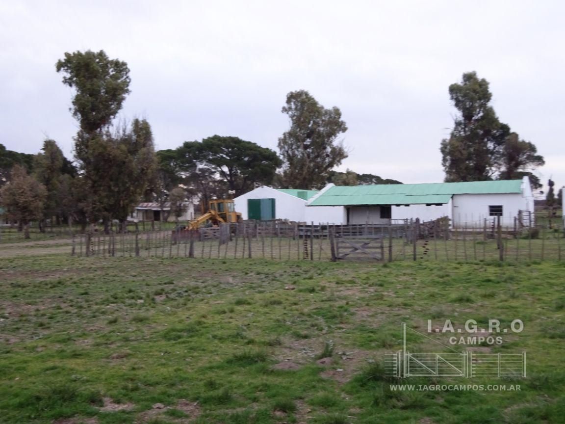 Campo  en Venta en Villarino,  Villarino - Bahía Blanca Propiedades | SITIO OFICIAL l