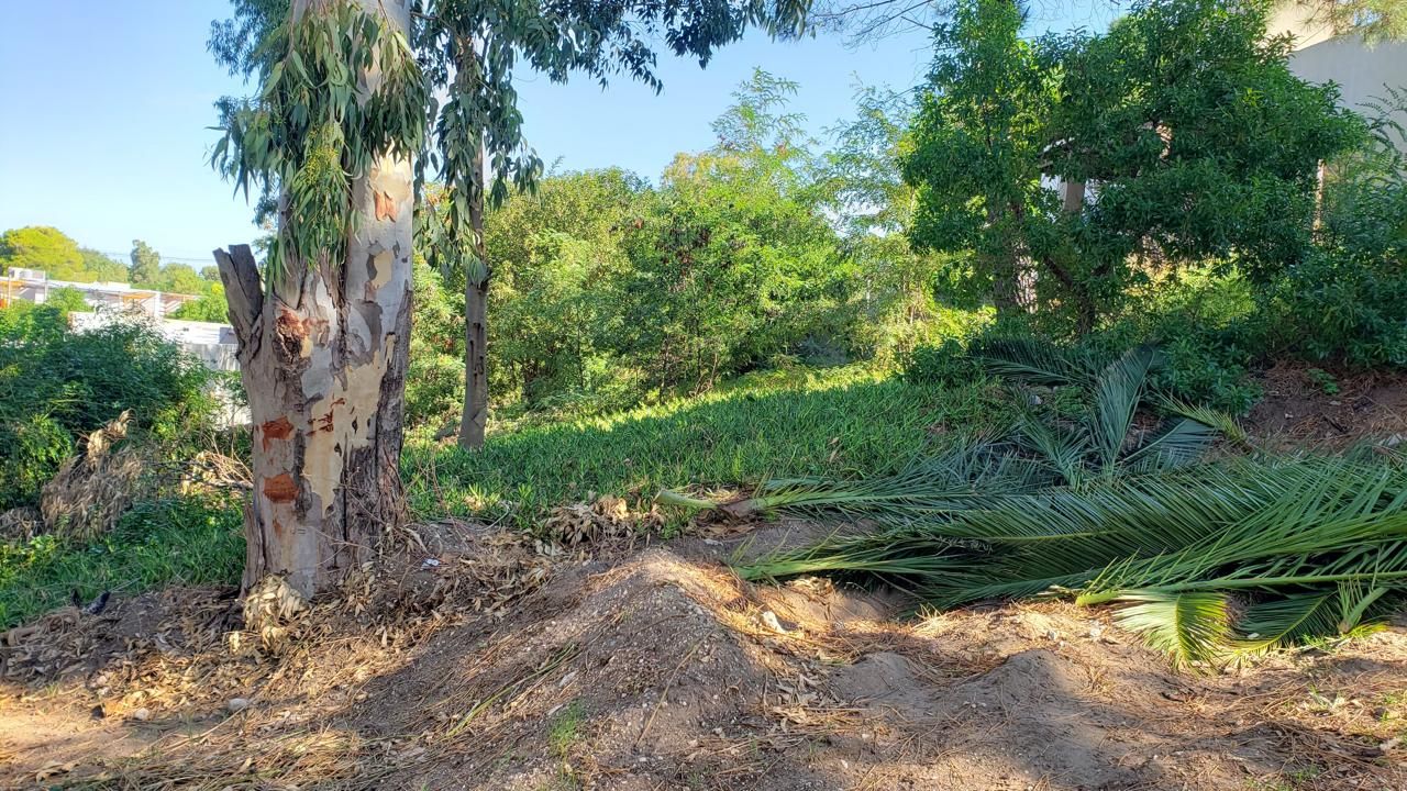 Terreno en Venta en Camarones 1300, Las Dunas, Monte Hermoso - Bahía Blanca Propiedades | SITIO OFICIAL l