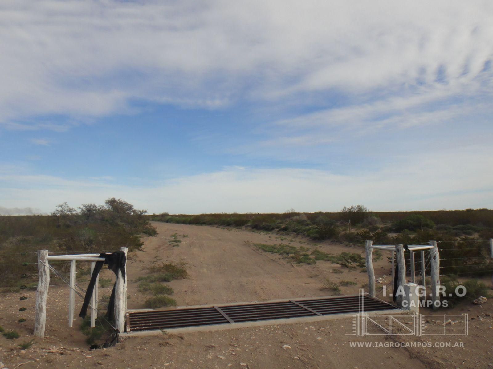 Campo  en Venta en Curaco,  Curaco - La Pampa - Bahía Blanca Propiedades | SITIO OFICIAL l